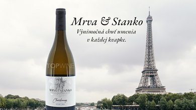 Mrva Stanko - návrh č. x700.jpg