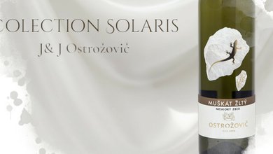 Ostrožovič Solaris.jpg