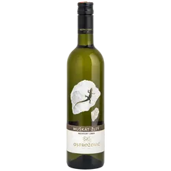 Ostrozovic_Muskat_zlty_Solaris_2023__neskory_zber_suche_075_l