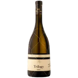 Ostrozovic_Trilogy_Special_Collection_2023__CHOP_polosuche_075_l