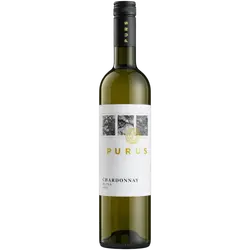 Chardonnay_2025_suche_075_l_PURUS