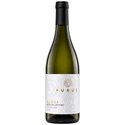 PURUS_KUGEL_Rizling_rynsky_2024