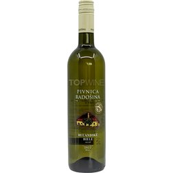 Pinot blanc, r. 2022, akostné víno, suché, 0,75 l Pivnica Radošina