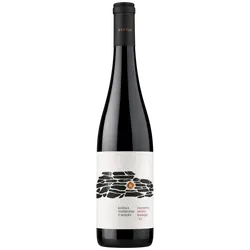 Frankovka_modra_barrique_2021_075_l_Vino_RARIGA