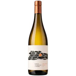 Sauvignon_blanc_2022_suche_075_l_Vino_RARIGA