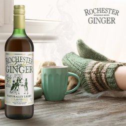 Rochester Ginger - promo6.jpg