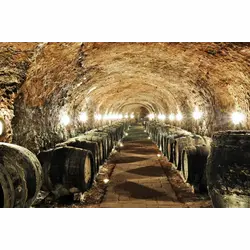 Tekuté zlato z hlbín tufových pivníc: Prečo sú klasické tokajské vína vrcholom luxusu?